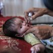 Guerre à Gaza : la campagne de vaccination anti-polio démarre ce dimanche dans le centre du territoire palestinien