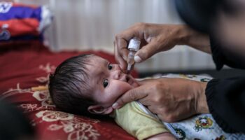 Guerre à Gaza : la campagne de vaccination anti-polio démarre ce dimanche dans le centre du territoire palestinien