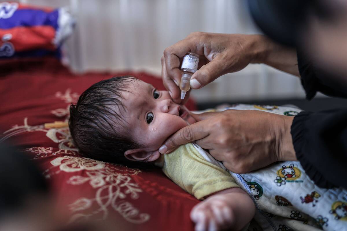 Guerre à Gaza : la campagne de vaccination anti-polio démarre ce dimanche dans le centre du territoire palestinien