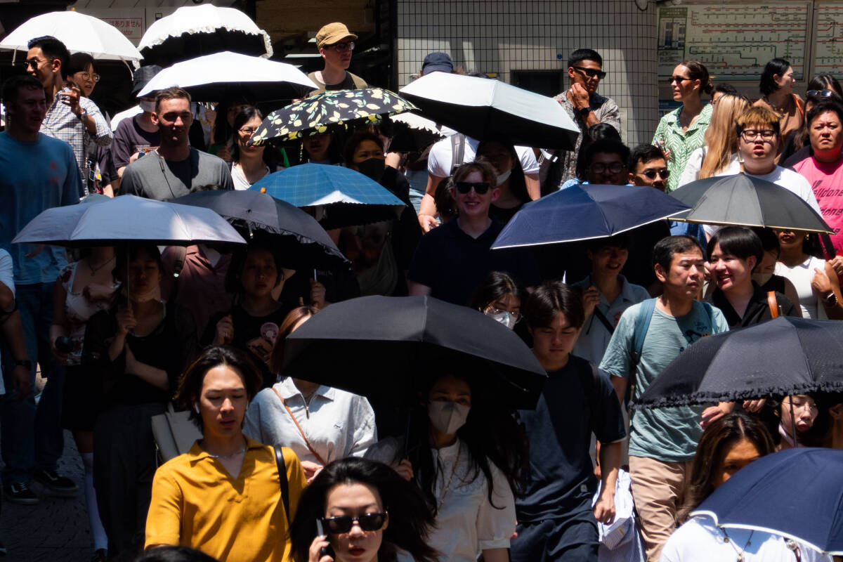 Comme en 2023, l’été 2024 au Japon a été le plus chaud jamais enregistré