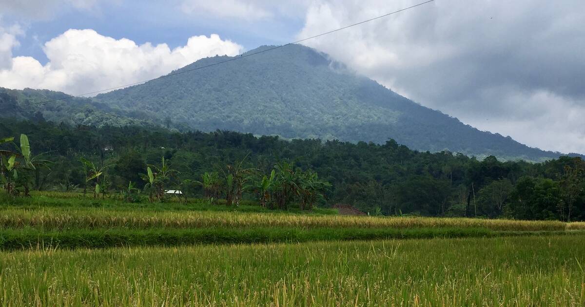 Ce que l’on sait sur l’adolescent français porté disparu à Bali depuis une semaine