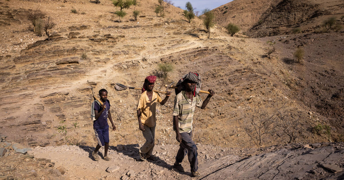 L’Afrique est frappée «de manière disproportionnée» par le réchauffement climatique, alerte l’ONU