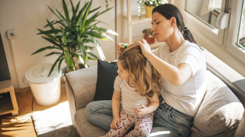 Rentrée scolaire : Pour éviter que les poux ne débarquent sur la tête de son enfant, voici quelques conseils