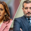 VP Harris is 'actively encouraging' illegal immigration in coordination with Mexico, Cruz charges