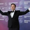 Elon Musk suggests support for replacing democracy with government of ‘high-status males’