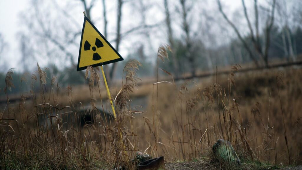 Atomkraft: Ukrainische Behörden melden Brand rund um Tschernobyl