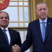 Al-Sisi bei Erdoğan: Wenn sich zwei Feinde treffen