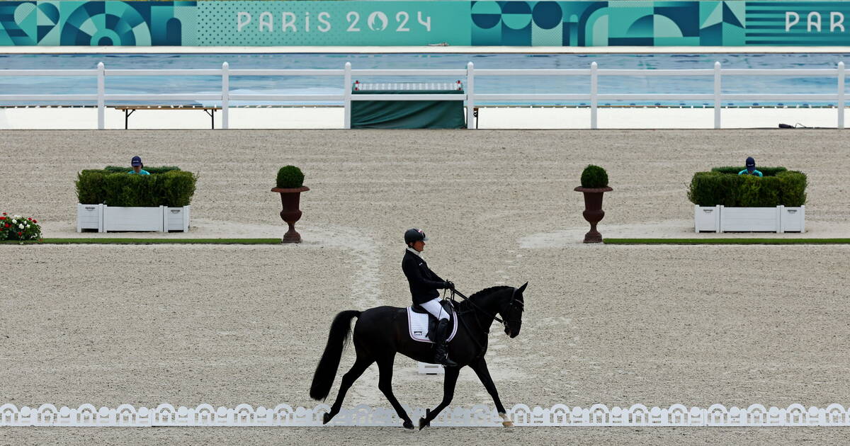 Jeux paralympiques 2024 : «Le cheval doit apprendre à s’adapter au handicap, comprendre le code du cavalier»