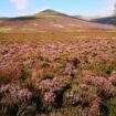 Skiddaw Forest. Pic: Joe Murphy/PA