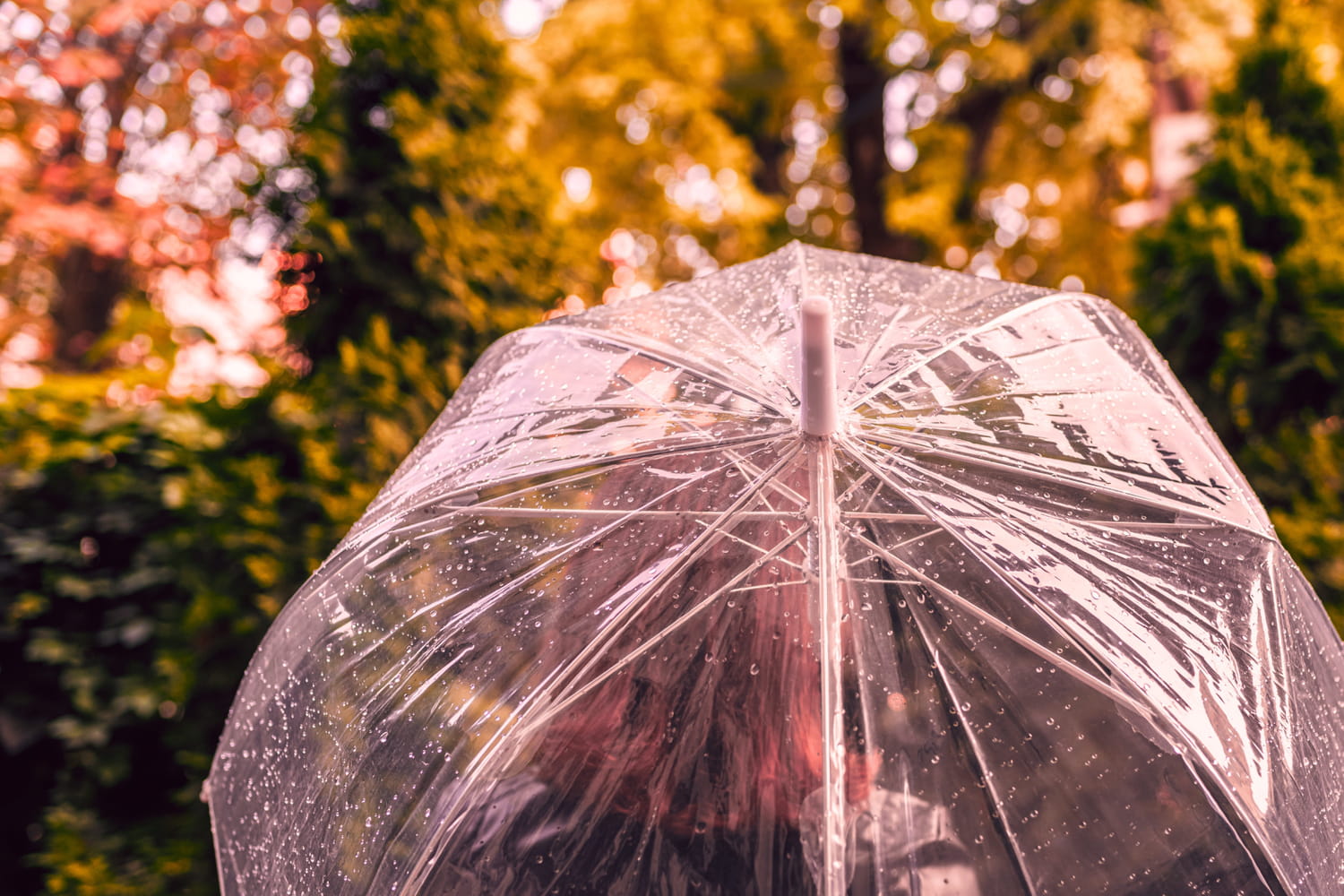 Orages, pluies ou grand soleil... La France coupée en trois ce week-end