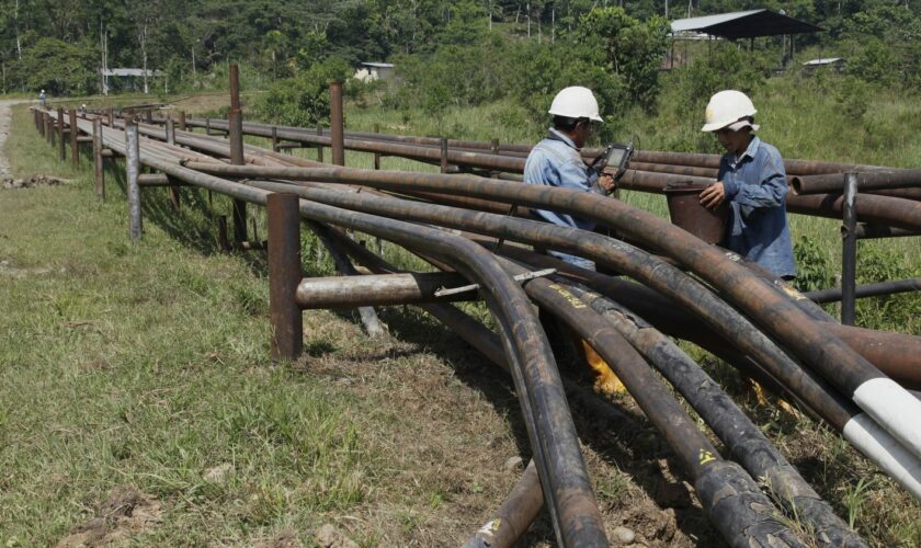 Amazonie : en Équateur, la communauté des Waoranis demande l'arrêt de l'exploitation pétrolière sur leurs terres