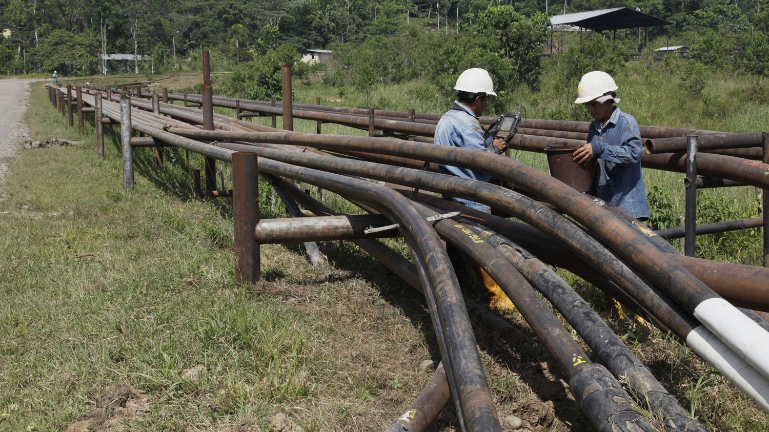 Amazonie : en Équateur, la communauté des Waoranis demande l'arrêt de l'exploitation pétrolière sur leurs terres