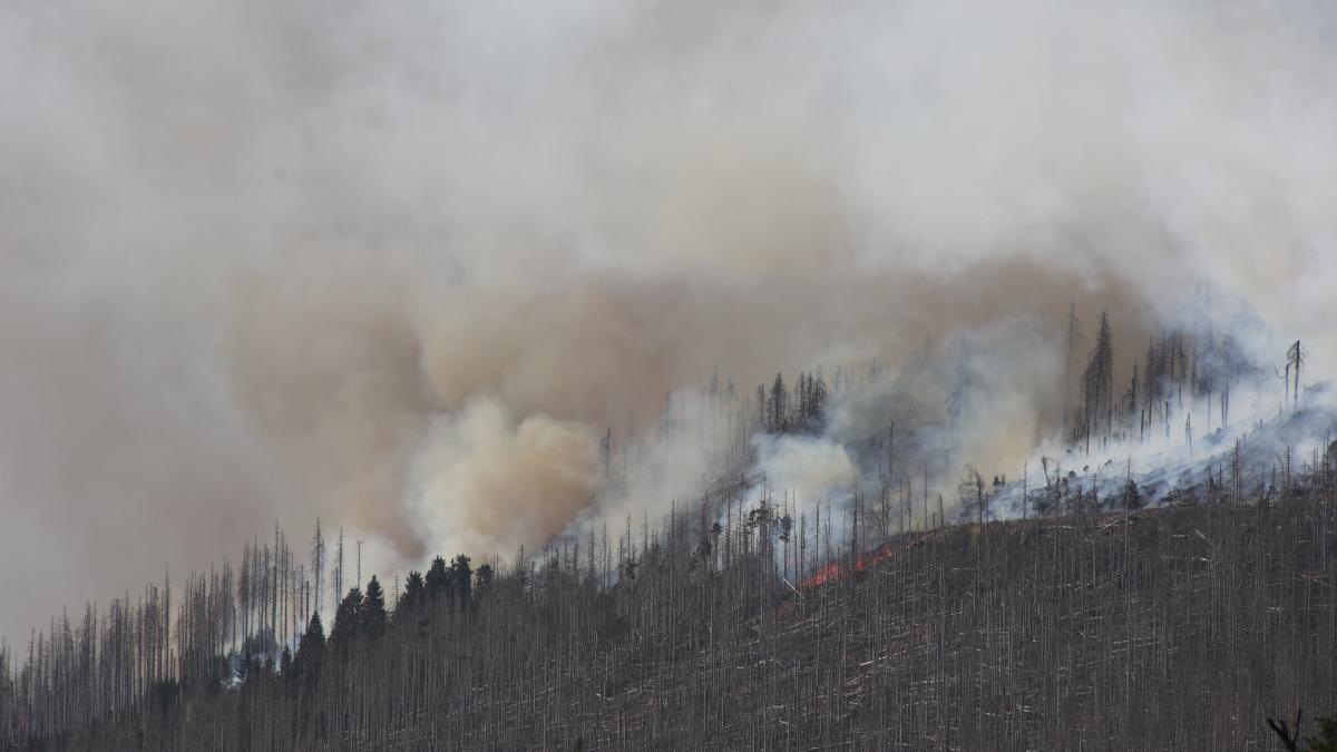 Waldbrand breitet sich am Brocken aus – Löschflugzeuge im Einsatz