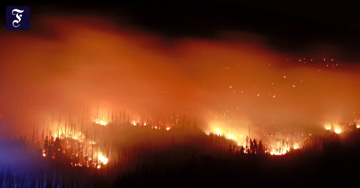 Harz: Waldbrand am Brocken breitet sich weiter aus