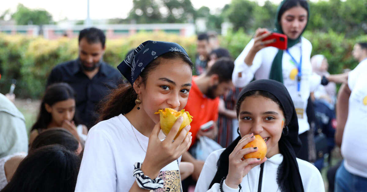 La mangue d’Égypte, “délice halal et légal”