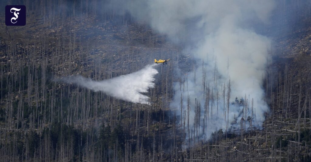 Brand im Harz: Einsatzkräfte hoffen auf Wetterwechsel