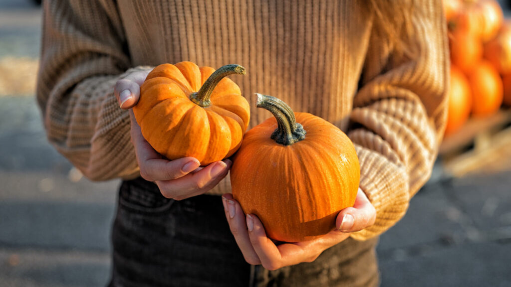 Halloween, Taylor Swift et « Gilmore Girls »… TikTok est fasciné par l’automne (et les marques aussi)