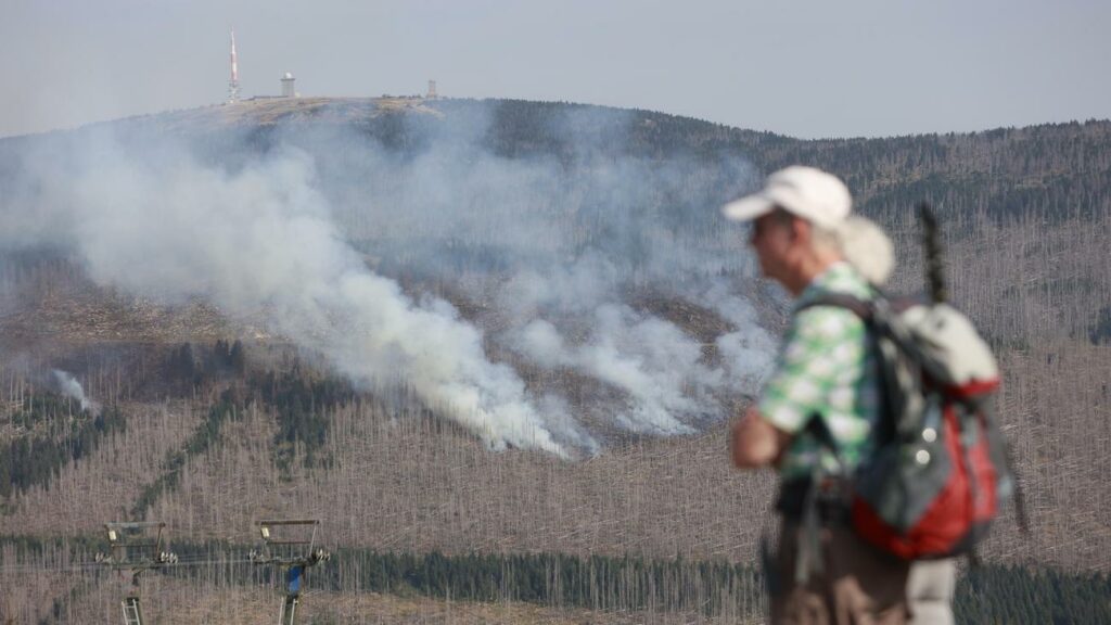 Waldbrand im Harz: Feuerwehr schließt Brandstiftung am Brocken nicht aus