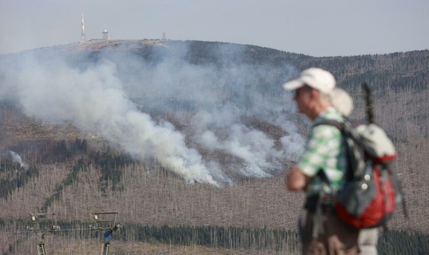 Waldbrand im Harz: Feuerwehr schließt Brandstiftung am Brocken nicht aus