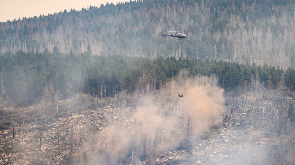 1000 Meter lange Feuerfront im Harz – Nationalparkchef hält Brandstiftung für unwahrscheinlich