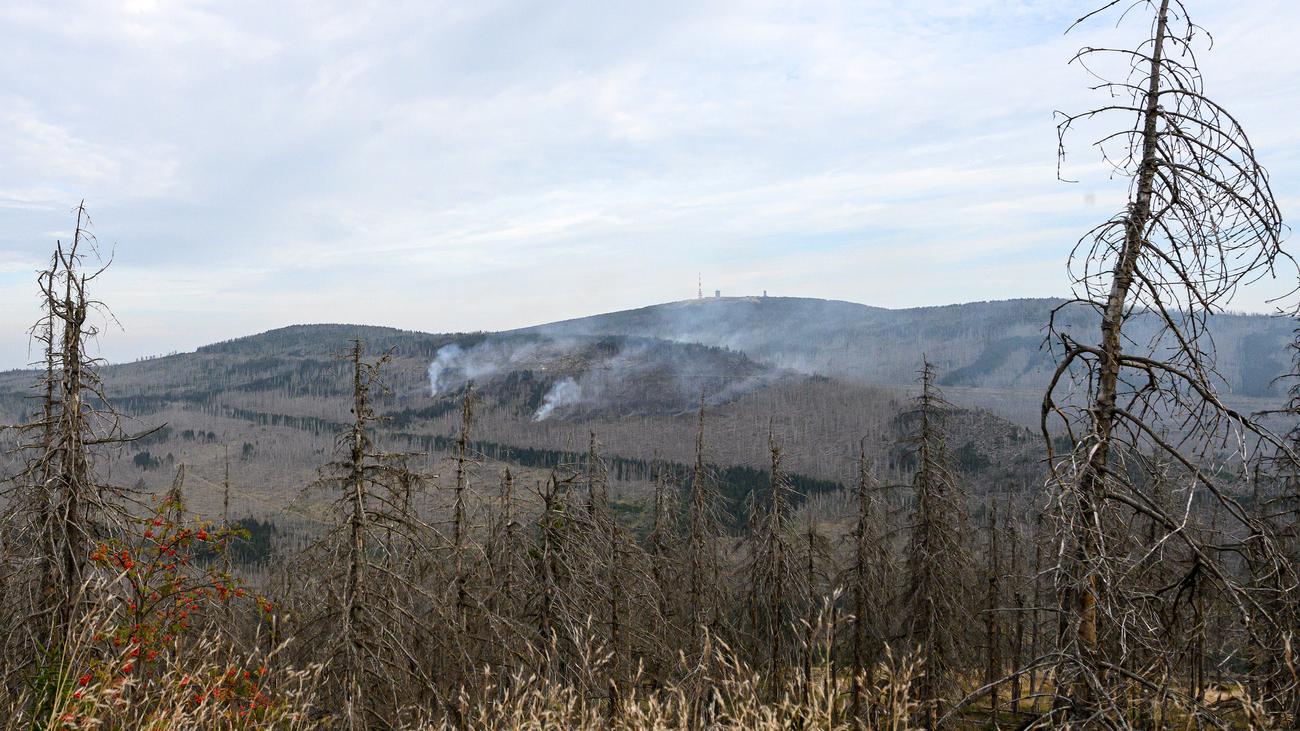 Waldbrand im Harz: Brand am Brocken ist laut Behörden unter Kontrolle