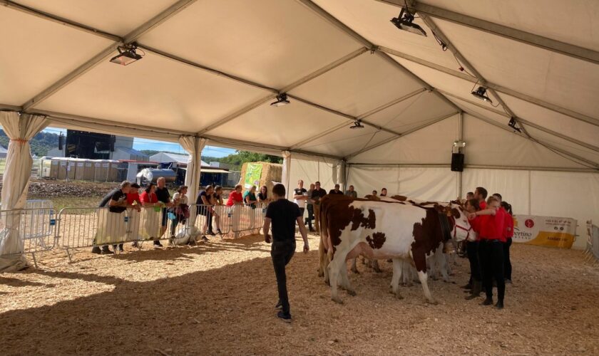 REPORTAGE. Agriculture : la nouvelle génération tentée par le salariat, pour "avoir une vie de famille", "se libérer une semaine de vacances"