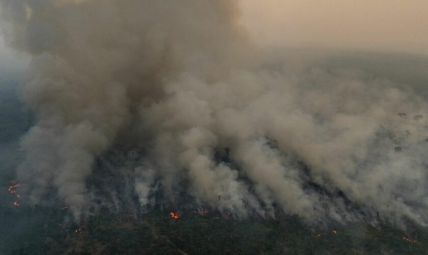 La fumée des incendies en Amazonie pollue l'air des mégalopoles brésiliennes