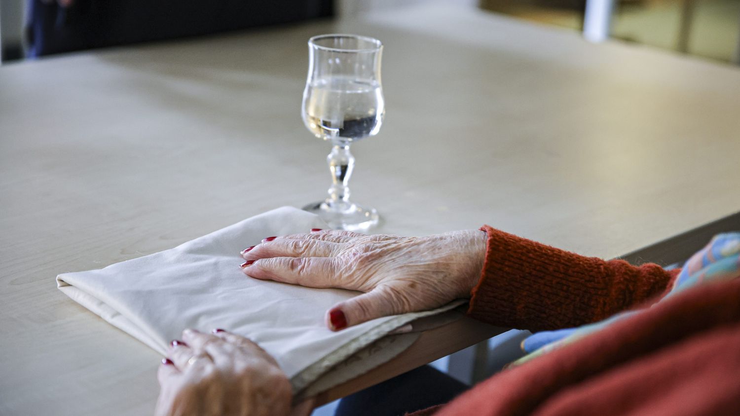 REPORTAGE. "Les anciens méritent mieux" : face au manque de personnel et à une situation économique difficile, ces Ehpad ont du mal à joindre les deux bouts