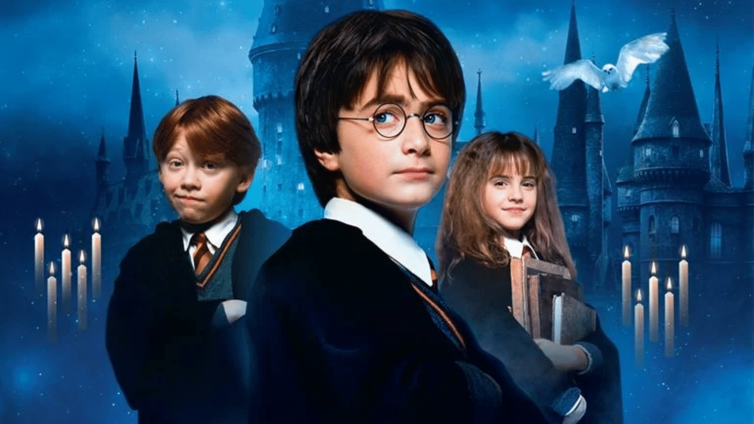 Qui pour incarner Harry, Ron et Hermione ? Le casting de la série "Harry Potter" est lancé