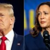 Harris leads in Virginia, a state Trump is aiming to flip: poll