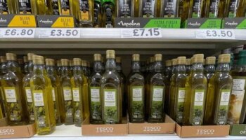 Bumper harvest sees olive oil prices likely to drop after years of crisis