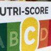 Nutri-Score : la nouvelle notation, vantée par une étude, fait grincer des dents certains industriels