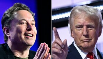 Financement de la campagne, fausses informations... Comment Elon Musk soutient Donald Trump pour l'élection présidentielle américaine