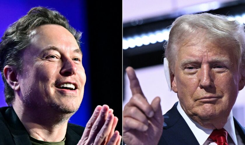 Financement de la campagne, fausses informations... Comment Elon Musk soutient Donald Trump pour l'élection présidentielle américaine