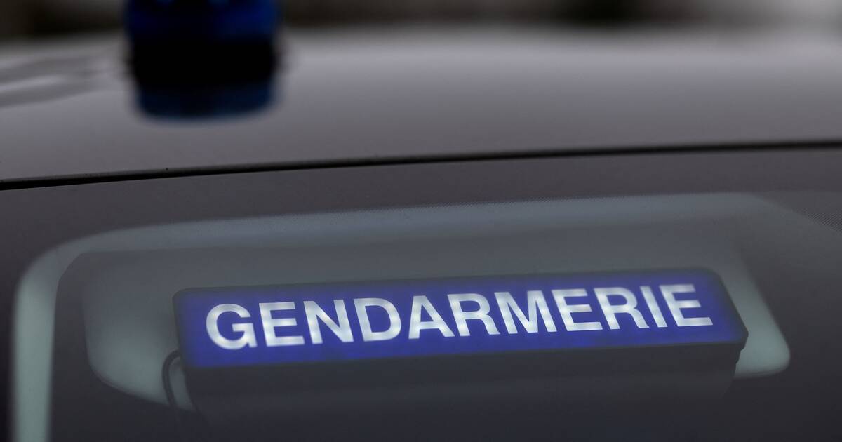 Yvelines : deux pieds découpés découverts par une promeneuse en bord de Seine