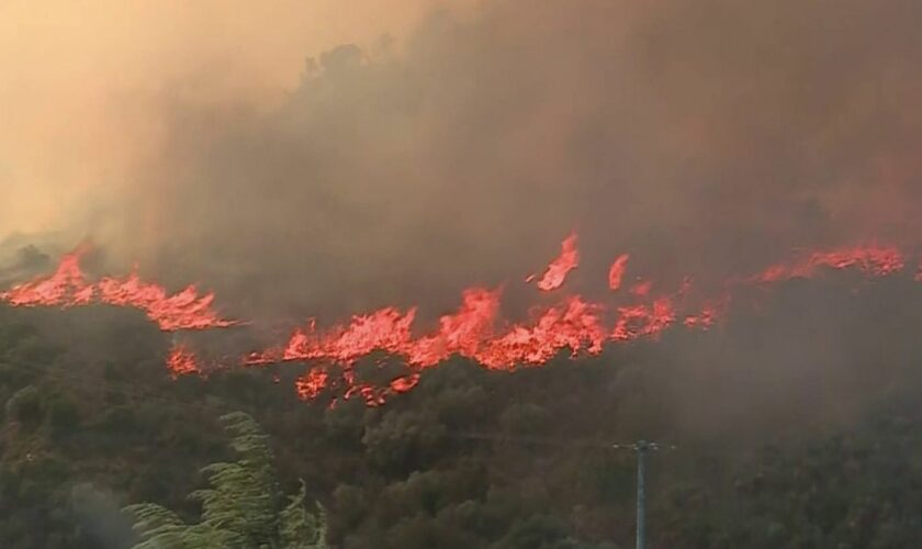 Pyrénées-Orientales : un village menacé par un violent incendie, des habitants évacués