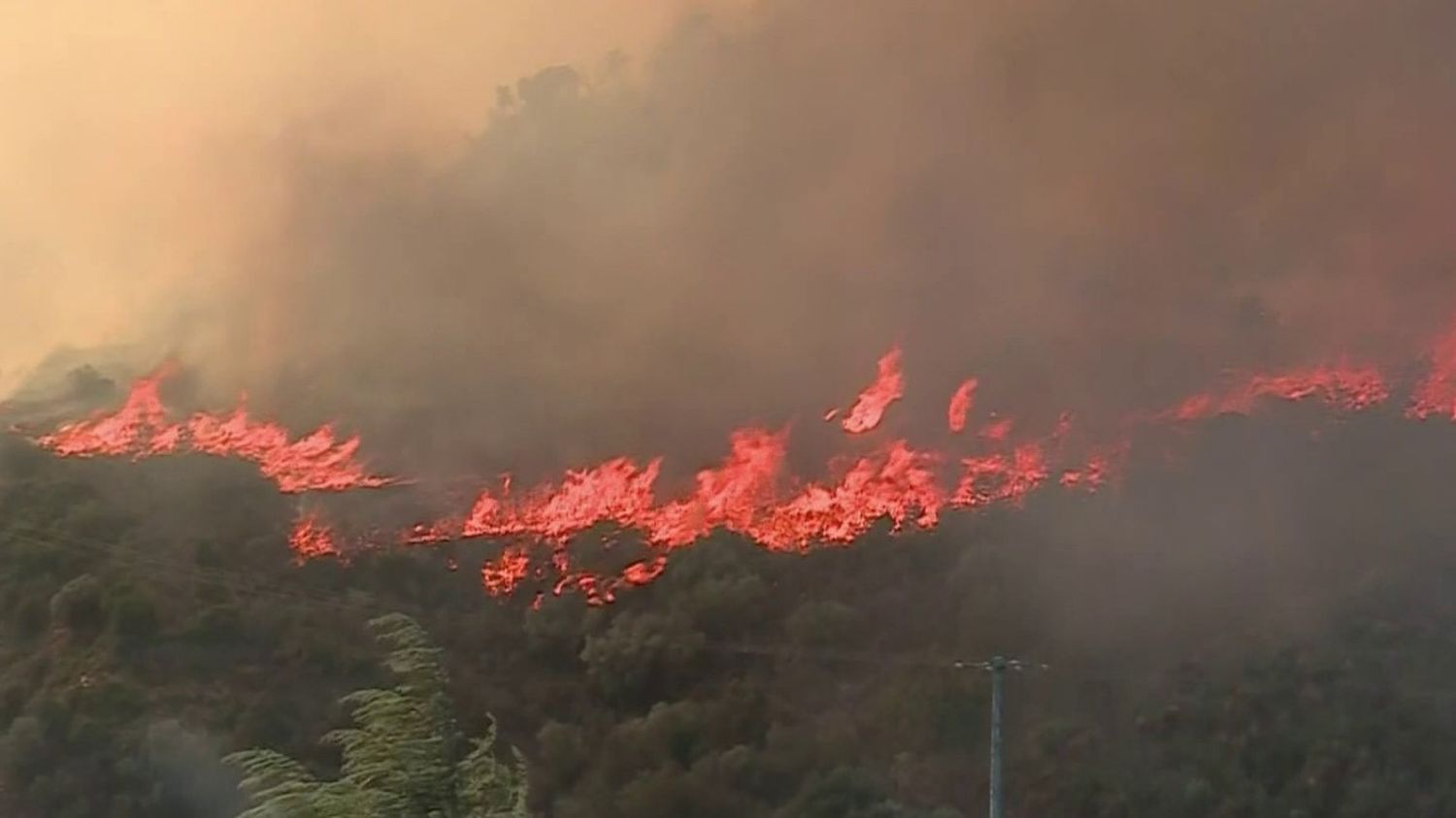 Pyrénées-Orientales : un village menacé par un violent incendie, des habitants évacués