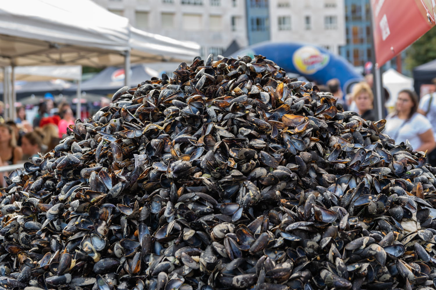 Braderie de Lille 2024 : 5 choses à faire au programme