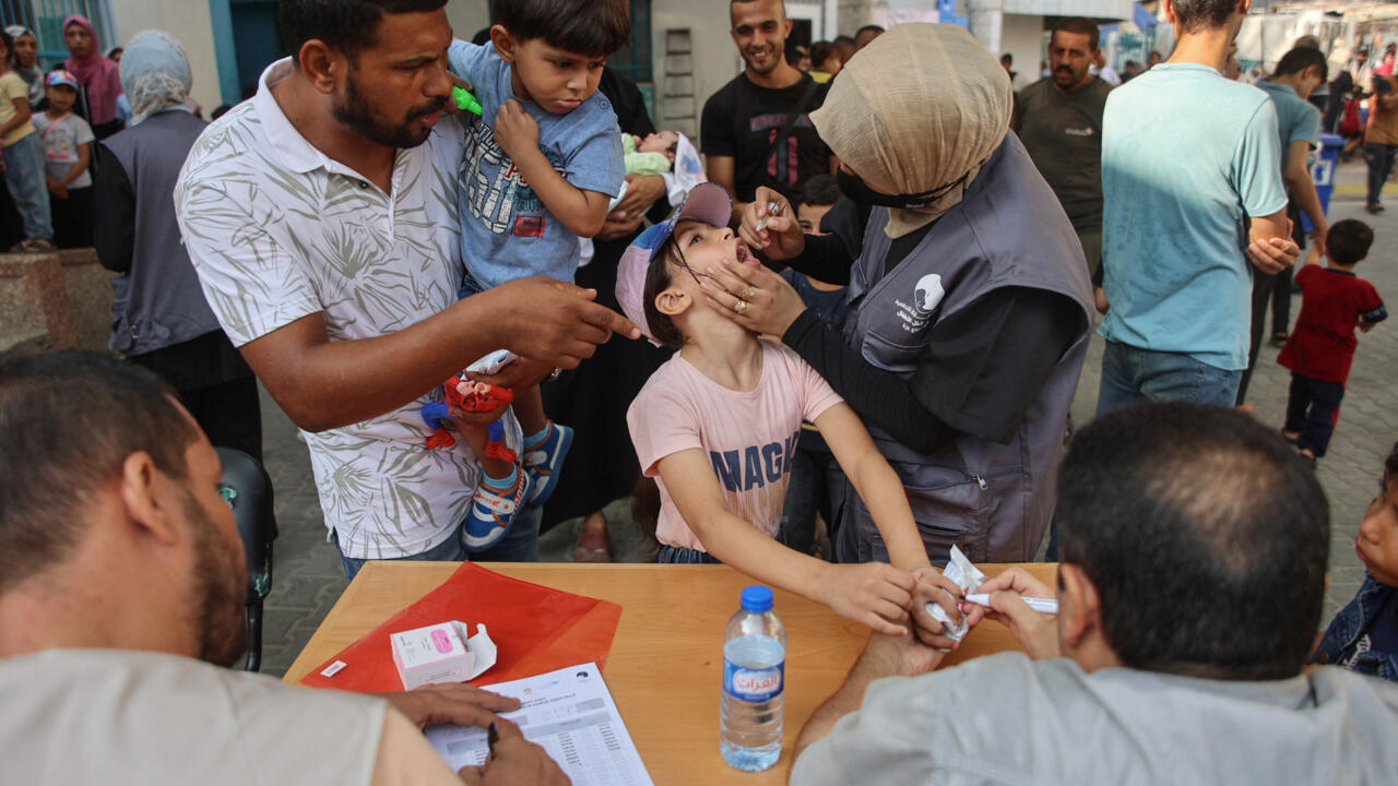 Vaccination anti-polio à Gaza : un succès "qui montre que l'on peut faire entrer plus d'aide"