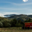 Pyrénées-Orientales : un important incendie fixé, 400 hectares partis en fumée