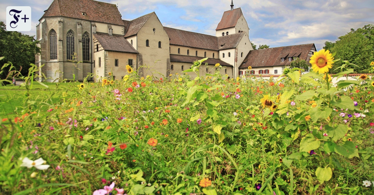 Es wuchs in meinem Garten ein Rosmarienbaum