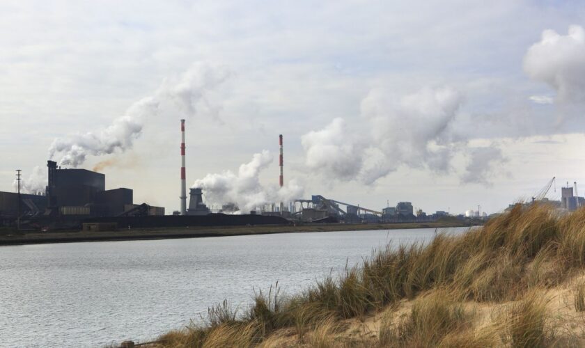 Mobilisation internationale pour les conditions de travail chez Arcelor Mittal : "C'est une première", salue Philippe Verbeke