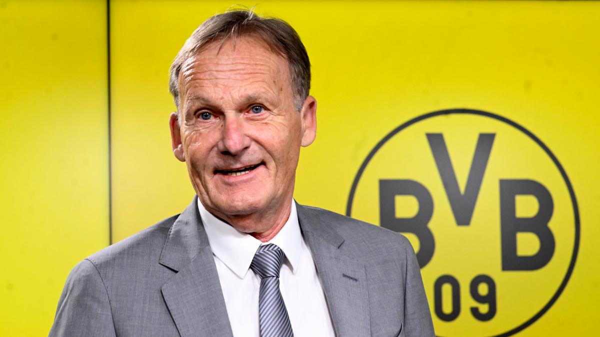 „Watzke hat im deutschen Fußball einen Riesenschaden angerichtet“