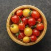 Tomatengericht aus Taiwan: Die Suche nach der richtigen Blume