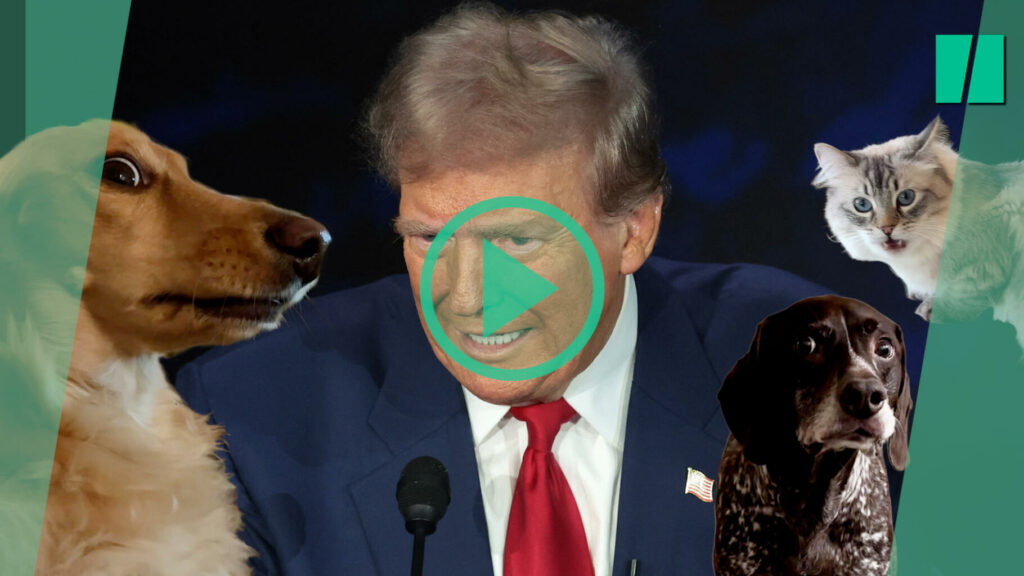 Présidentielle américaine : sur TikTok, la fake news de Donald Trump fait même peur aux animaux