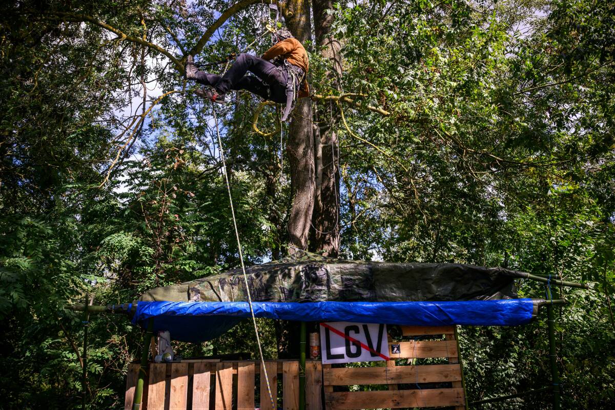 Après l’A69, des écologistes s’opposent dans les arbres à la LGV Bordeaux-Toulouse