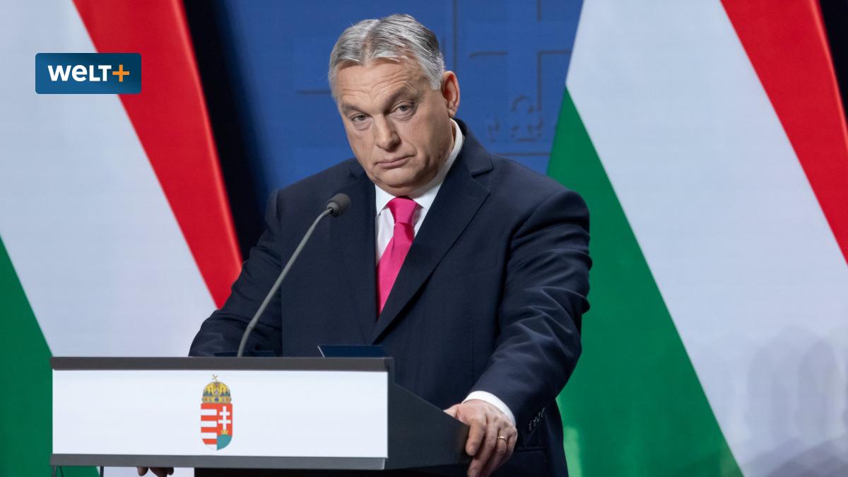 Halb Europa boykottiert Orbán – und blockiert sich damit selbst