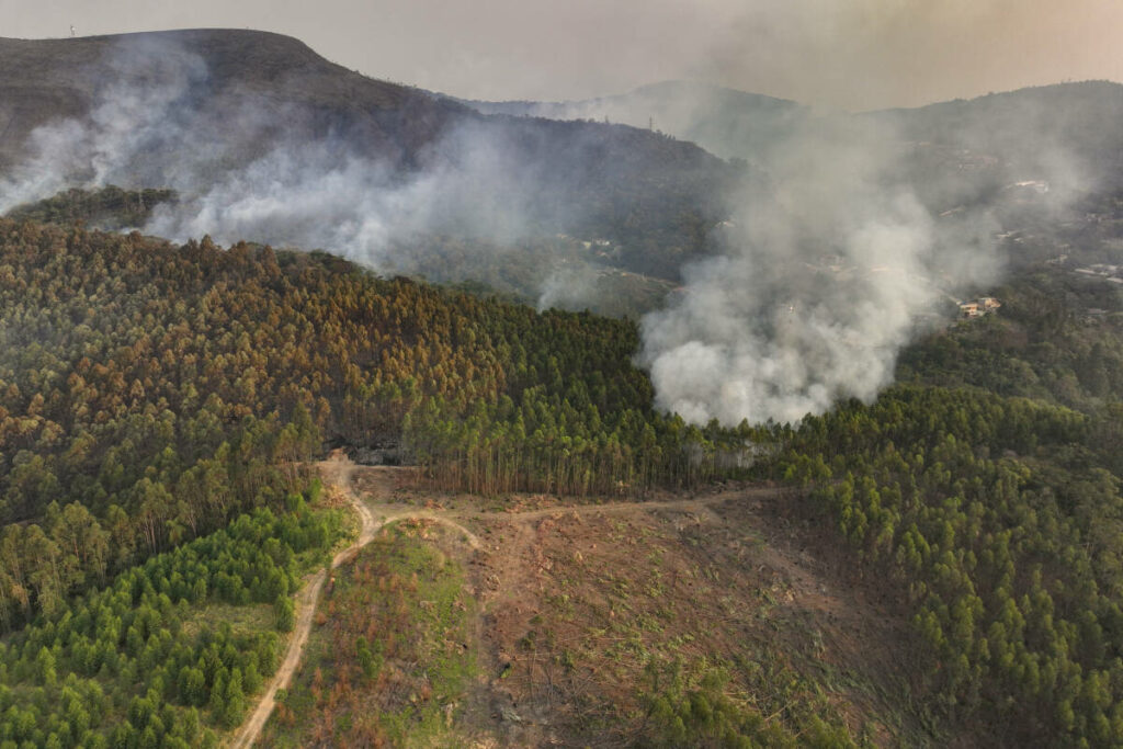 Le Brésil lutte contre de nombreux incendies, aggravés par la pire sécheresse de son histoire