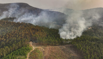 Le Brésil lutte contre de nombreux incendies, aggravés par la pire sécheresse de son histoire