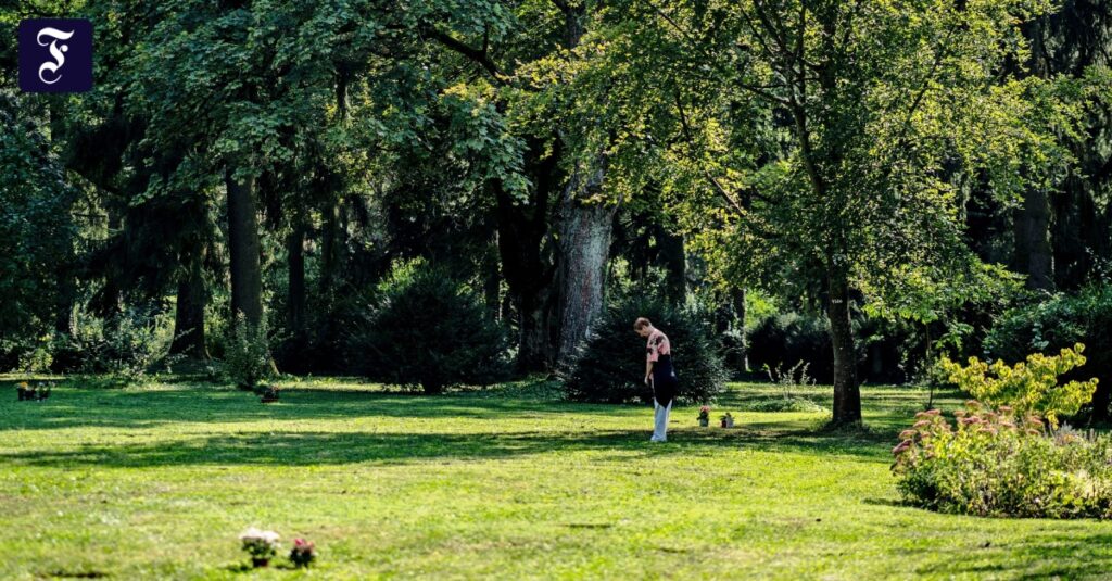 Das Feld der Namenlosen gibt es nicht mehr auf dem Hauptfriedhof